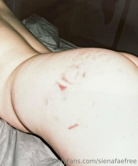 Sienafaefree naked leaks OnlyFans pic