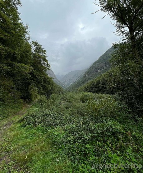 Alignedbykarissa OnlyFans 유출 누드 사진