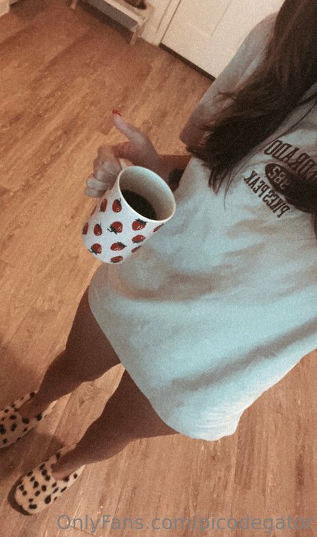 Picodegator OnlyFansリークヌード写真