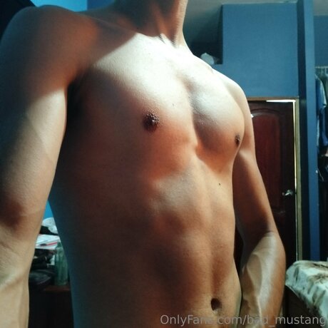 Bad Mustang naked leaks OnlyFans pic