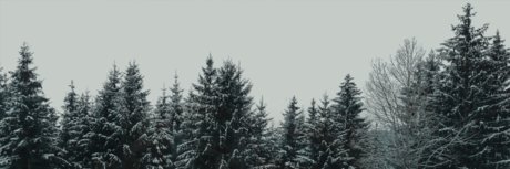 Nahá fotka uniklých OnlyFans od Rico