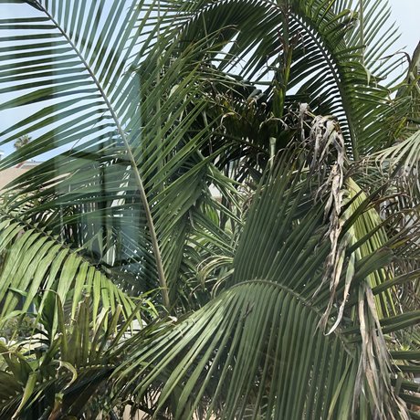 Bella  OnlyFans 유출 누드 사진