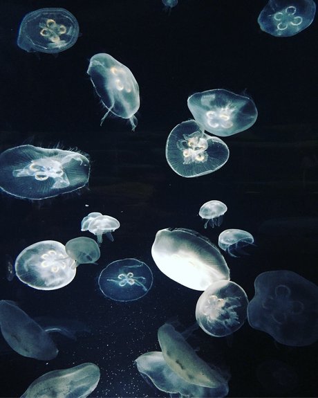 Nagie wyciekłe zdjęcie OnlyFans od Miss Asian  Kate