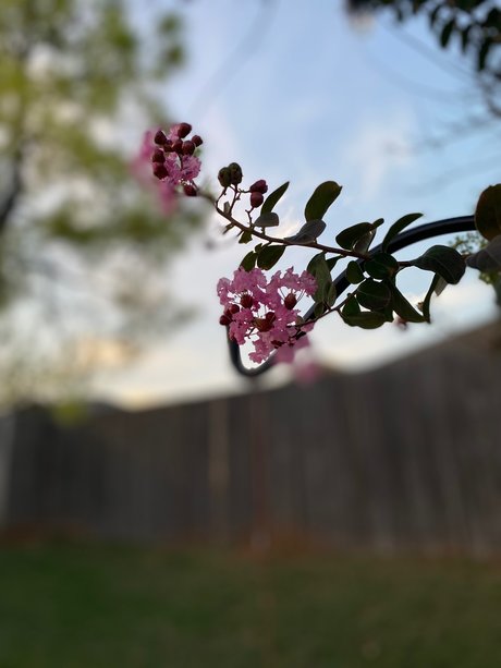 Naakte gelekte OnlyFans-foto van D