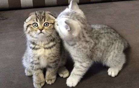 Foto desnuda filtrada de OnlyFans de Nana