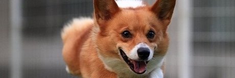 Nahá fotka uniklých OnlyFans od Summer Horror Party