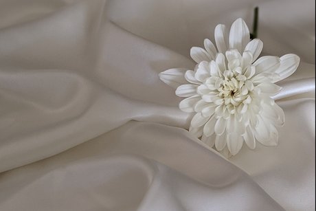 Aisha Love naked leaks OnlyFans pic