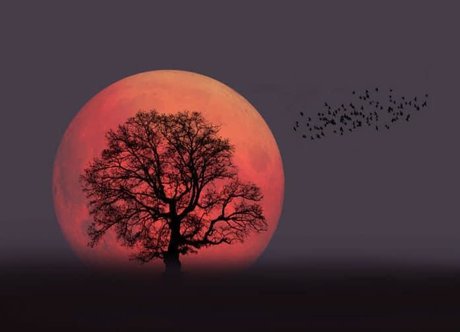 Foto nua vazada do OnlyFans de Your Favourite Pagan