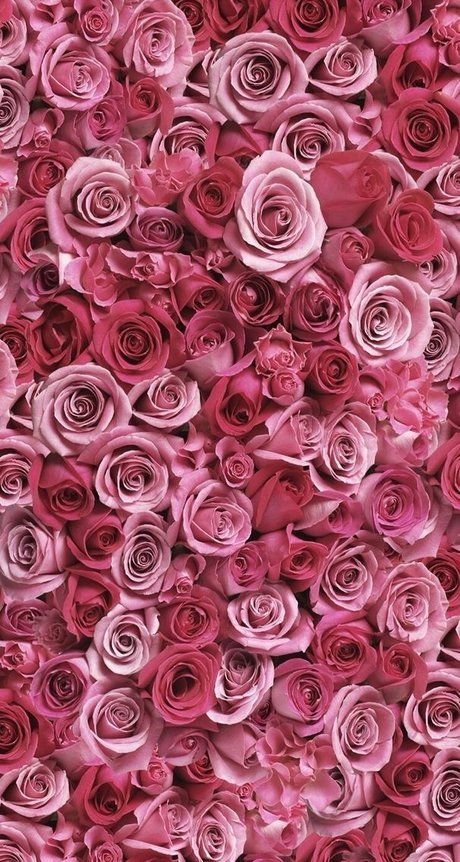 Foto di nudo di fuga di OnlyFans di Sandra Dee