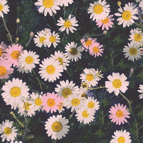 Nagie wyciekłe zdjęcie OnlyFans od Ally Aimes 