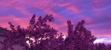 Nahá fotka uniklých OnlyFans od Orion