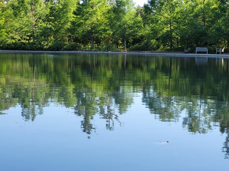 Foto di nudo di fuga di OnlyFans di Por Amor