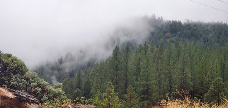 Rosey Thorns OnlyFansリークヌード写真