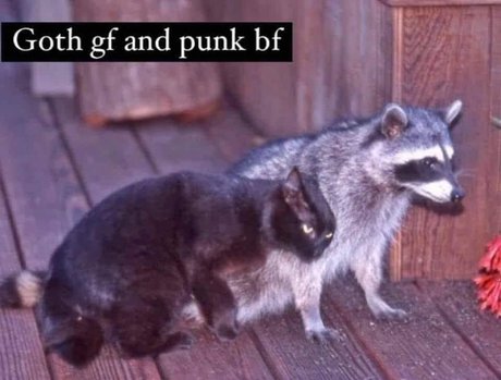 Обнаженная фотография утечки OnlyFans от Tommy And Aynnnje Ftw