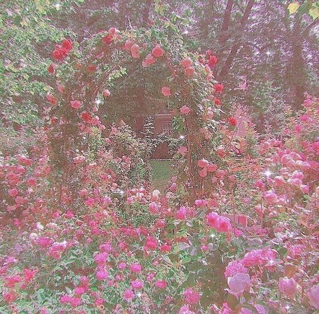 Nahá fotka uniklých OnlyFans od Goddess Miki