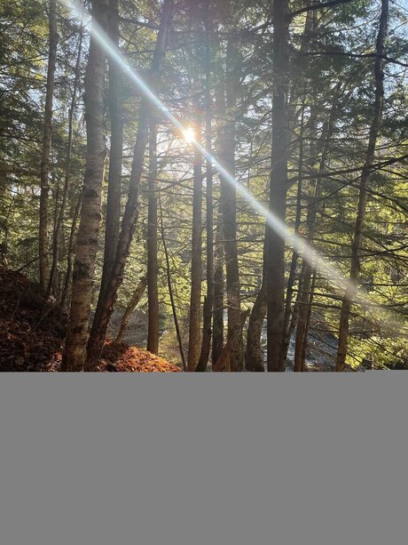 Alasti lekkinud OnlyFans-i pilt Caleb Gallo