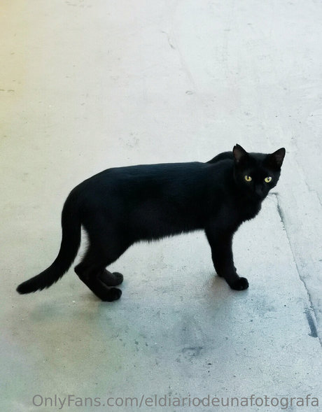 Eldiariodeunafotografa OnlyFansリークヌード写真