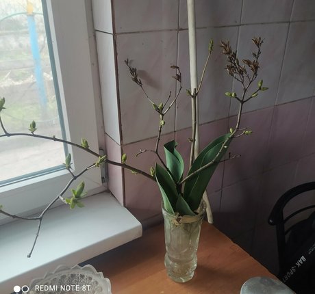 Karinamoonn  nude leaked OnlyFans photo