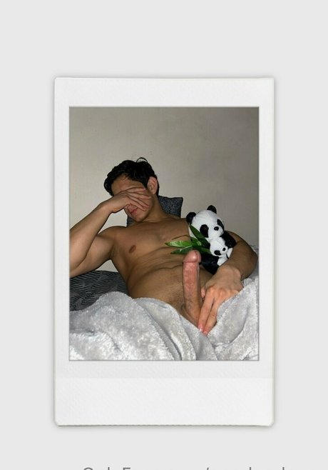 Pandaslover OnlyFans 유출 누드 사진